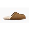 Hommes UGG | Scuff Homme Camel