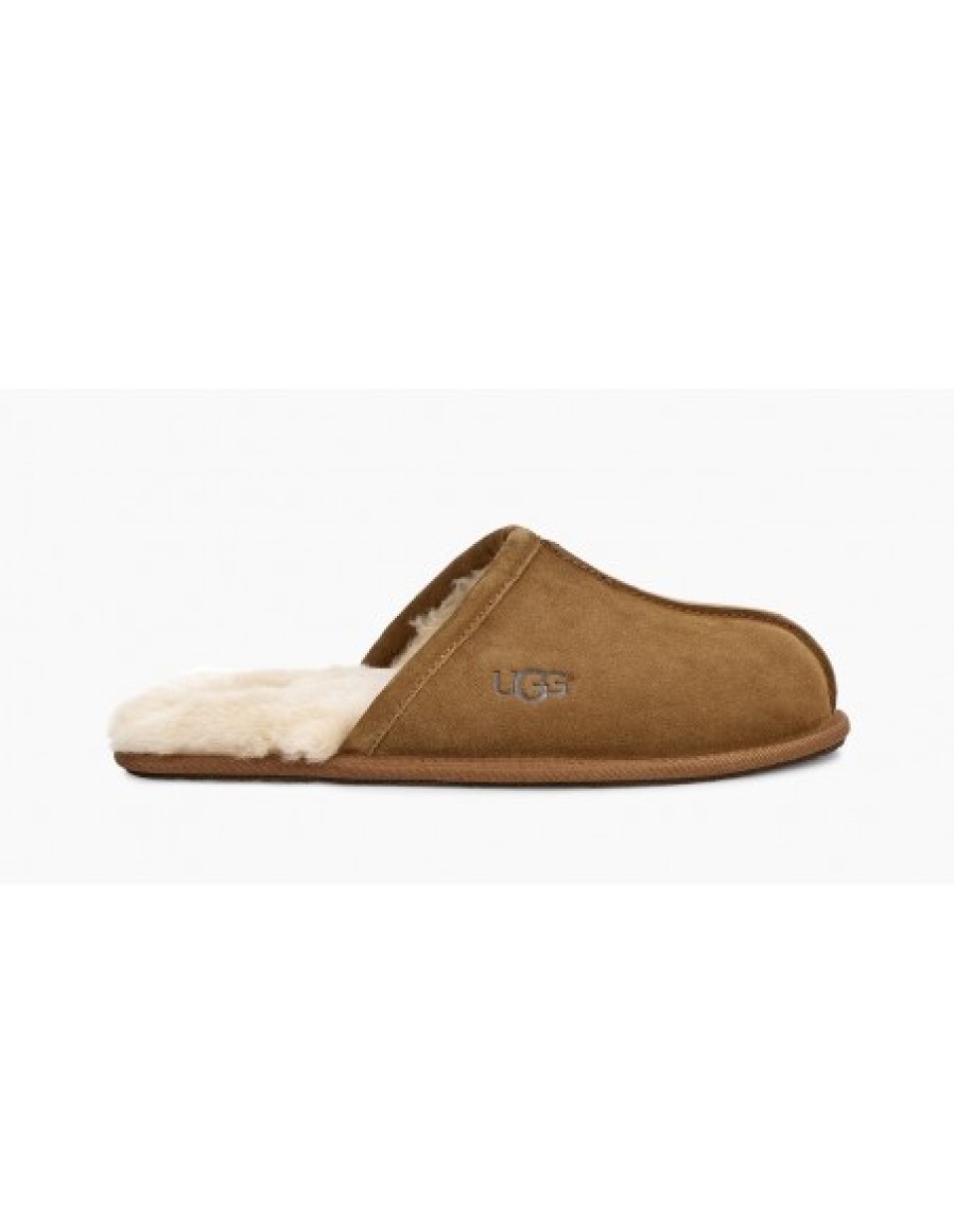 Hommes UGG | Scuff Homme Camel